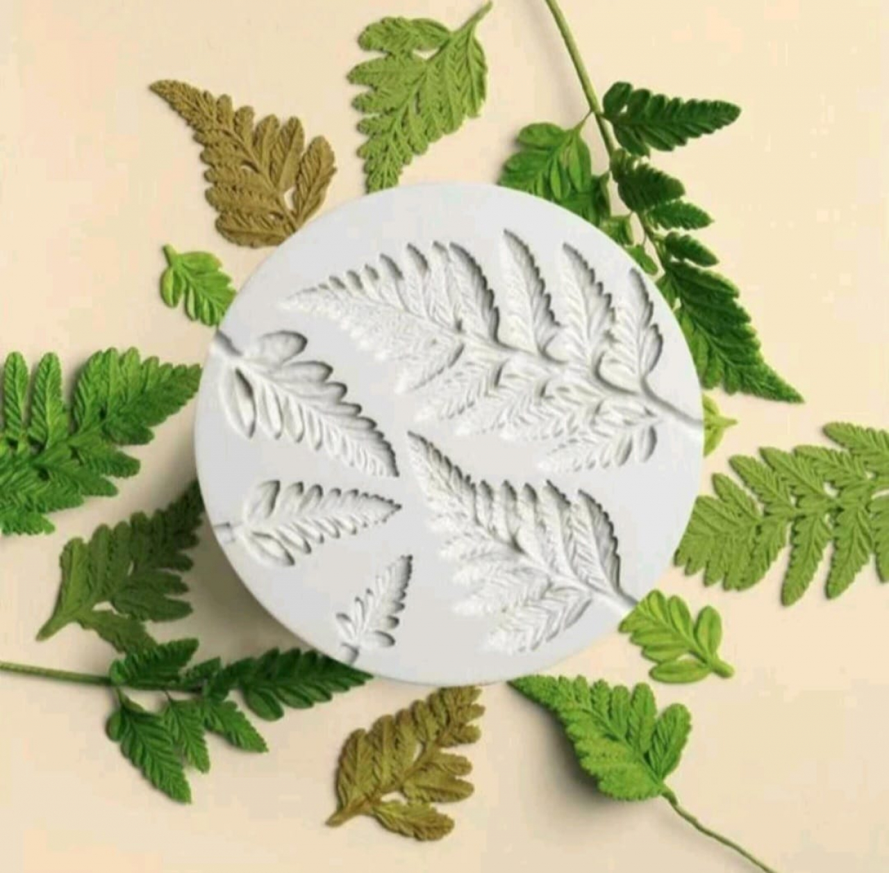 Szilikon fondant mintázó - Páfrány levelek