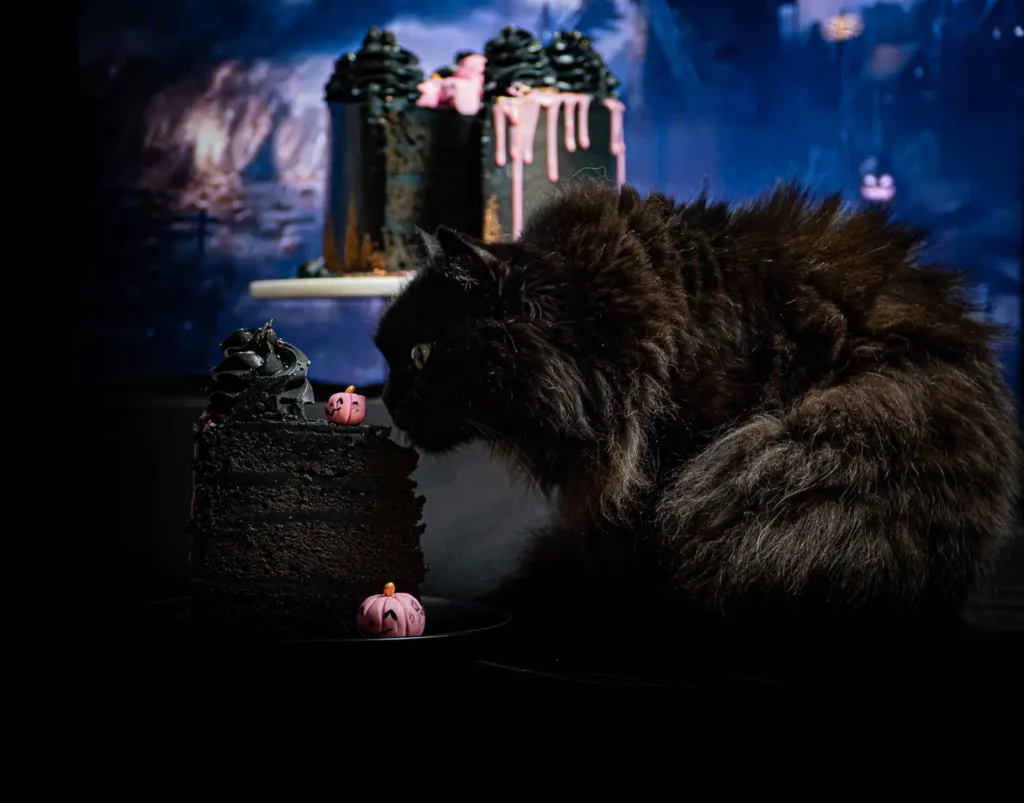 Extra Fekete Torta Halloweenra