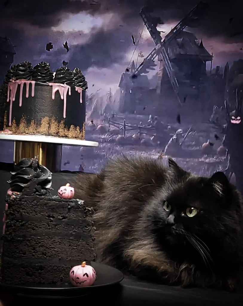 Extra Fekete Torta Halloweenra