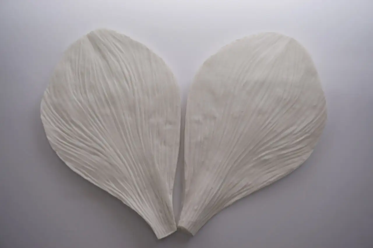 Szilikon erező szett - Amarílisz szirom - 2db