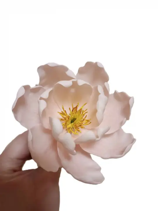 Cukorvirág - Bazsarózsa - Rózsaszín 8-9cm