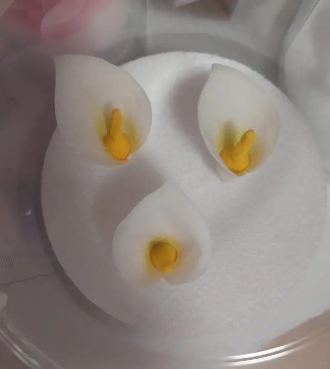 Cukorvirág - Kála - Fehér 3db