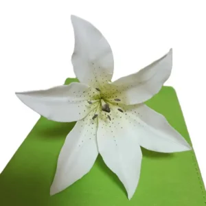 Cukorvirág -  Liliom - Fehér  10-12cm