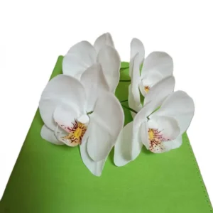Cukorvirág -  Orchidea - Fehér  7-8cm