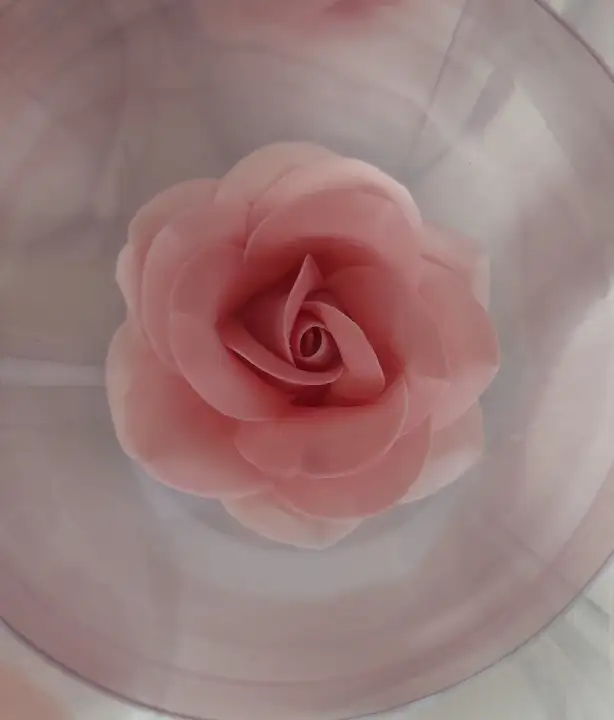 Cukorvirág -  Rózsa - színátmenetes rózsaszín  5-6cm